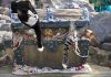 Cats on a treasure chest